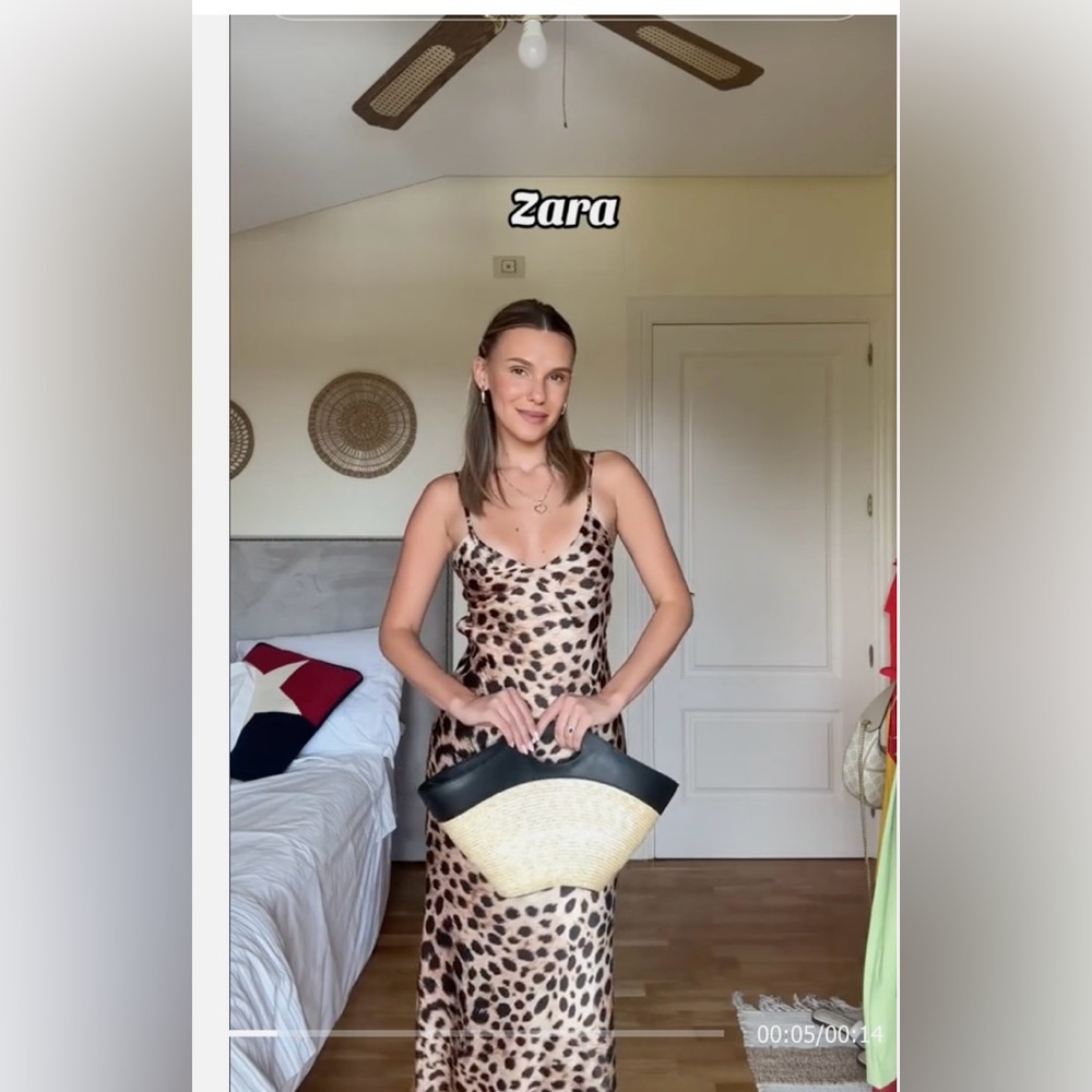 Zara Animal Print Maxi Dress